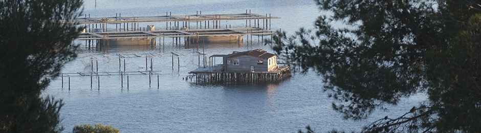fermes aquacoles tamaris la seyne sur mer
